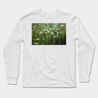 Summer Meadow Long Sleeve T-Shirt